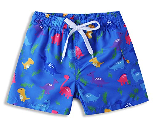 ALISISTER Bañador Niño Novedad 3D Dinosaurio Gráfico Natación Shorts 8-10 años Elastic Waistband Vacation Beach Boardshorts con Forro de Malla