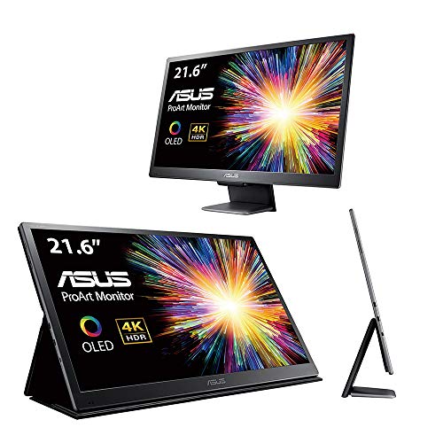 ASUS ProArt PQ22UC - Monitor de 21.6" UHD OLED (4K, 3840 x 2160 Pixeles, 204 ppi, HDR-10, 99% DCI-P3, 0.1 ms,) Negro y Gris