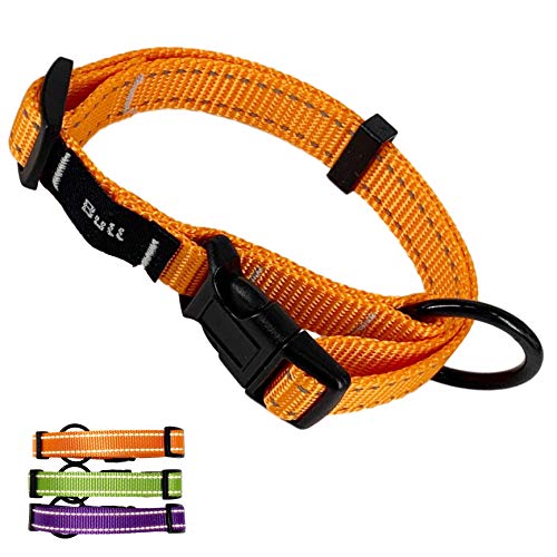 AVANZONA Collar para Perros Nylon Ajustable Reflectante Suave Resistente, Sistema Seguridad, Perros pequeños medianos y Grandes. S. Naranja.