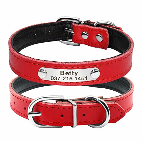 BERRY Etiquetas de identificación para Mascotas Acero Inoxidable, diseño de Huellas de Perro, Gato – Etiquetas de identificación para Mascotas Brillantes Personalizadas con Cascabel