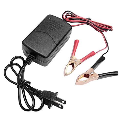 BIlinli Cargador de batería de Carga Inteligente de EE. UU. 12V para automóvil, camión, vehículo recreativo, Motocicleta