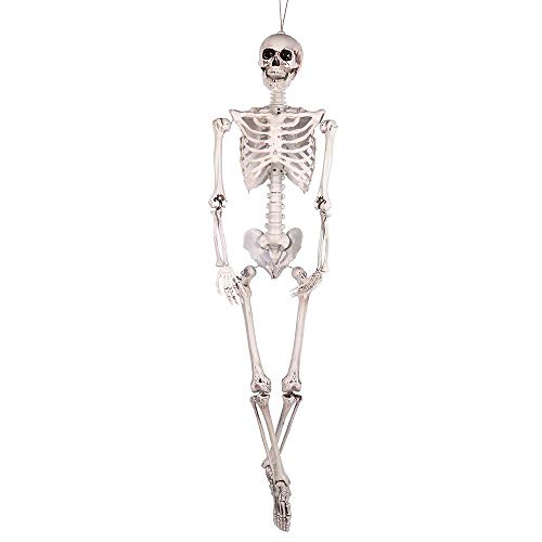 DAMAI STOREl Nuevo Esqueleto Encantada De Halloween Vestido De Escape Adornos Simulación De Alta del Hueso del Cráneo Accesorios Decorativos 165cm (Color : C)