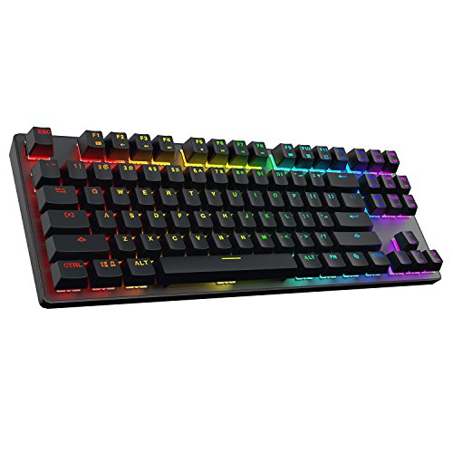 DREVO Tyrfing 87 Key V2 RGB Retroiluminado Personalizable Tenkeyless Teclado Mecánico Gaming con Teclas multimedias, soprte de Software - Outemu táctil US Layout [interruptor rojo, negro]