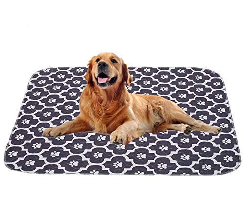 Geyecete Almohadillas lavables para orina de perro (2 unidades), diseño de pocas capas, reutilizables, estructura fuerte, absorción de agua, antideslizante, para gato, perro, conejo, gris, L