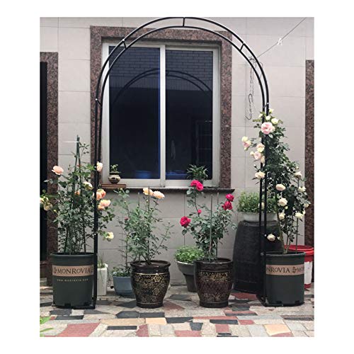 HLMBQ Arco de Jardin para Plantas Trepadoras Ornamental,Arcos de Metal,Duradero Soporte para Rosas 140x230cm/200x230cm/300x220cm