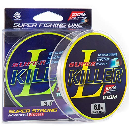 KDHJY 2pcs 100M Grado Superior Fluorocarbono Revestimiento Pesca Línea 3-40LB Japonesa monofilamento hundimiento Línea Pesca de la Carpa Leader Line (Color : Transparent, Size : 17LB 0.33MM)