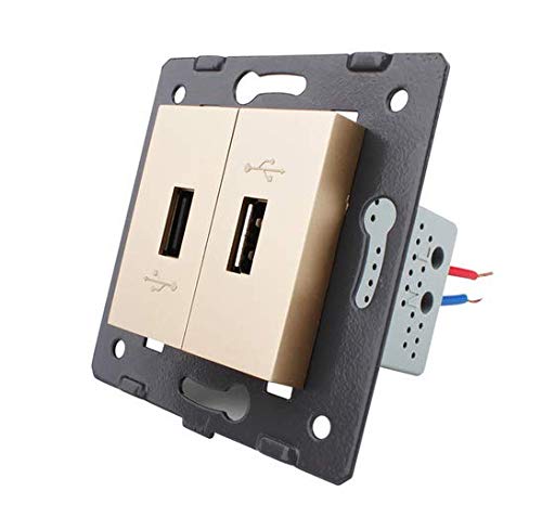 LIVOLO - Interruptor de luz táctil (2 puertos USB, 13), color dorado