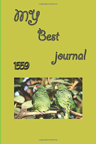 my  Best  journal   1559: Journal to Record Experience, Journal from a Global Motorcycle Journey   ,dont  waste your  chance.