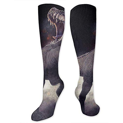 PPPPPRussell Novelty Socks Rendering di Tyrannosaurus Rex Novità Calze per donna, ragazza, ragazzo, calze divertenti per corsa, sport, viaggi, tutti i giorni [8,5X50 Cm]