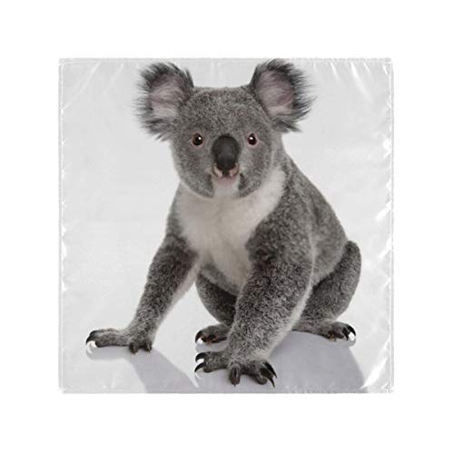 RAUP Satin Napkins Set of 6, Young Koala Phascolarctos Cinereus 14 Months,Square Printed Party & Dinner Cloth Napkins,20" X 20"