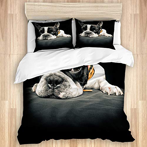 SUHETI Bedding Juego Funda Edredón,Lindo Mentira Bulldog Francés Divertido,Microfibra Funda Nórdico y Fundas Almohada (Cama 140x200cm+Almohada 50X80cm)