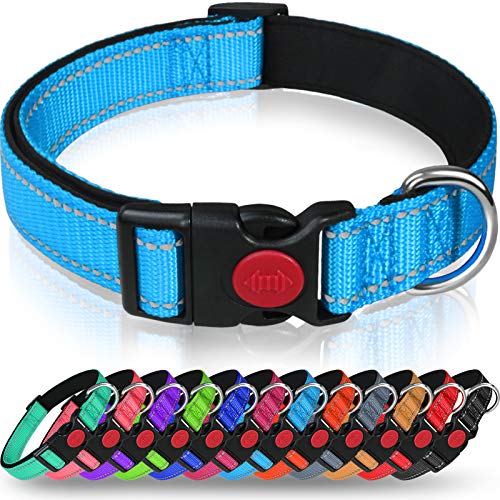 Taglory Collar Perro, Collar Nylon Reflectante Neopreno Forrado Ajustable para Perros Grandes, Cielo Azul