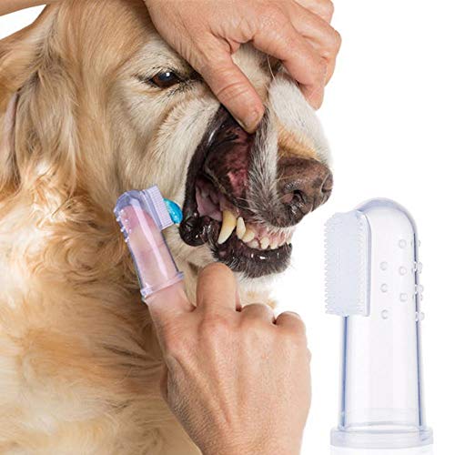 xj Cepillos de Dientes de Silicona Suave para Mascotas, 12 Piezas, Cepillo de Dientes para Perros, Cepillo de Dientes para Gatos, Cuidado Dental para Perros y Gatos, Cepillo de Silicona Suave para