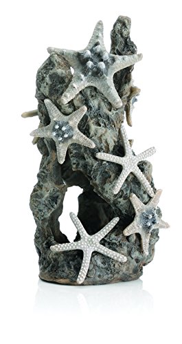 biOrb 46132 Figura Decorativa Roca con Estrellas de Mar, Un tamaño