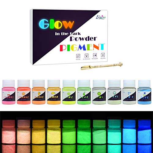 Pigmento de Resina Epoxi Fluorescente - 10 Colores x25g Resina Epoxídica Pigmento de Polvo Luminoso para Resin, Slime, Uñas - Glow In The Dark Pigment Luminiscentes Powder para Nail, Pintura, Acrílico