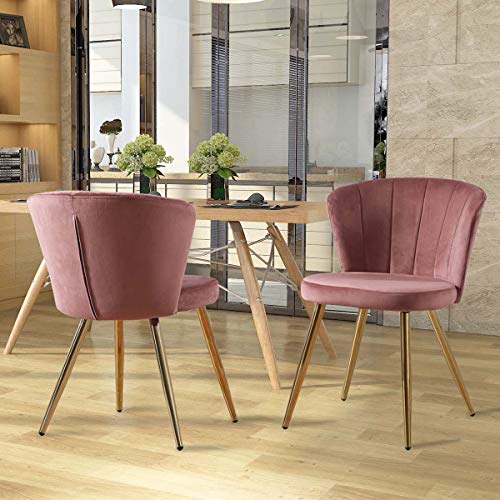 Zoyo Juego de 2 sillas de comedor de terciopelo rosa tapizadas de cocina patas de metal para restaurantes en el hogar (rosa, 2)
