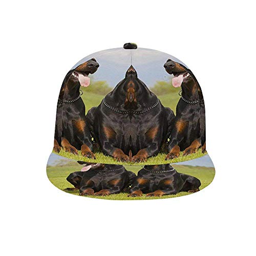 Zcfhike Top Level Baseball Cap Männer Frauen Classic Verstellbarer Hut Fit für Jugend Jungen Pferdeschwanz Damen Big Dad Head Großer Tennis Golf Ball Hut