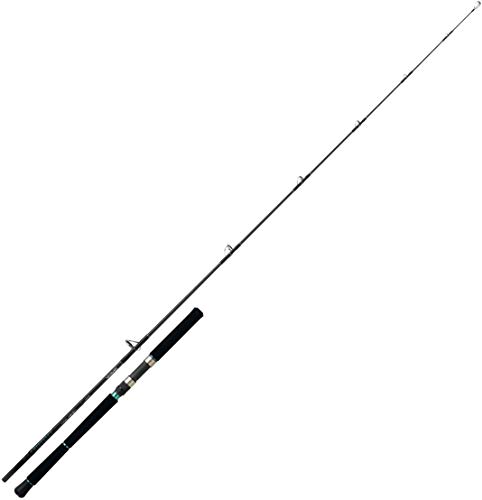 Daiwa Saltist - Caña de pescar (longitud 1,82 m, peso 40 g-100 g), 182m