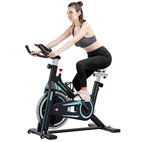 2WD Bicicletas Estáticas Resistencia Ajustable con Pantalla LCD y Monitor de Frecuencia Cardíaca, Bicicleta Estática de Interior Fitness Bikes Tranquilo