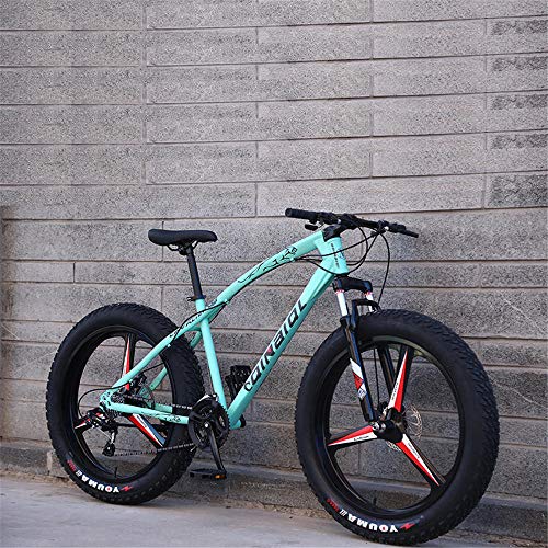 4.0 Bicicleta de neumáticos de Grasa 24 Pulgadas, Usado para montaña y Nieve Cruz-Country Masculino y Femenino para Estudiantes Adultos Bicicletas Bianchi Green-27 Velocidad