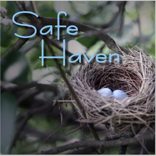 Safe Haven with Dewey Bertolini