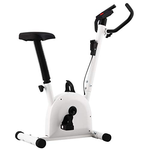 vidaXL Bicicleta Estática Ejercicio con Sillín Bici Máquina de Cardio Gimnasio