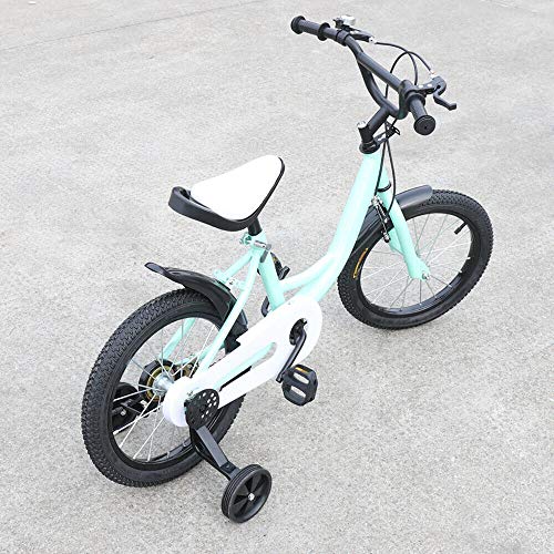 Wangkangyi Bicicleta infantil Jasemy de 16 pulgadas, para niños, con tecnología de doble frenado, alambre de acero, verde, unisex