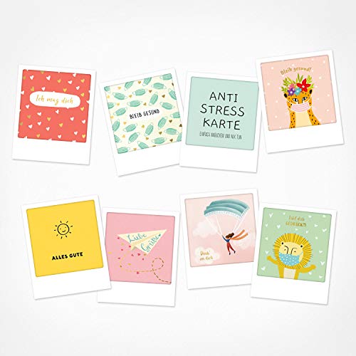 PICKMOTION Juego de 8 tarjetas postales con fotos, saludos y deseos, ilustradas a mano, tarjetas de felicitación hechas a mano, frases divertidas y motivos, animales, flores.