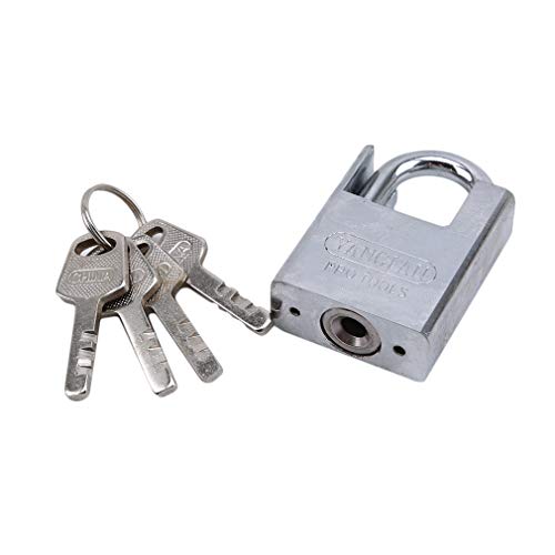 Weisin Padlock Shutter - Bloqueo para puerta de garaje (acero de seguridad, forma D, diferencial para el gimnasio, deportes, escuela y comercio, para actividades al aire libre)