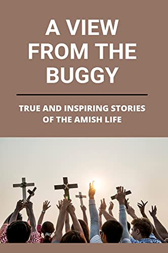 A View From The Buggy: True And Inspiring Stories Of The Amish Life: Old Order Amish (English Edition)