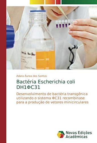 Bactéria Escherichia coli DH1ΦC31: Desenvolvimento de bactéria transgênica utilizando o sistema ΦC31 recombinase para a produção de vetores minicirculares