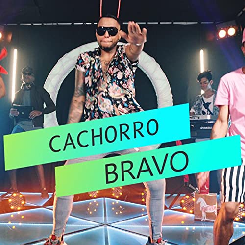 Cachorro Bravo