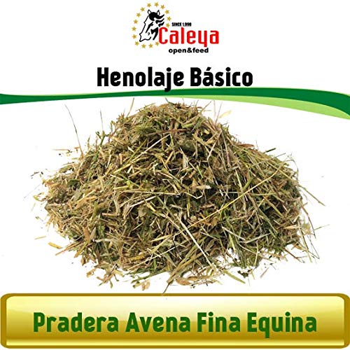 Caleya Forrajes Pack Ahorro: 30 uds Pradera Avena Fina Equina 40 kg