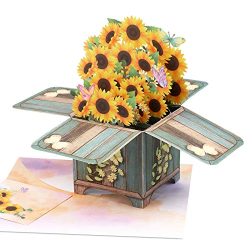 Giiffu Ramo de girasoles 3D tarjeta pop-up hecha a mano, tarjetas de felicitación para el día de la madre, cumpleaños, aniversario, Get Buell, Thank You, Thinking in You, Sympathy, All Occasions