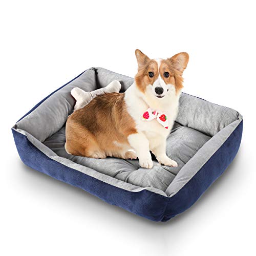 Molangfushi Cooyes Cama de perro calmante para perros medianos,Majestic Pet Dog Bed,Cama de perro antiansiedad con juguetes de hueso de felpa gratis