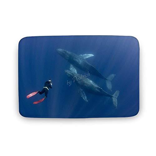 Viowr22iso Alfombra de baño antideslizante para observación de ballenas, buceo, escena de buceo, alfombra de baño súper acogedora para cocina, entrada interior, 50 x 80 cm