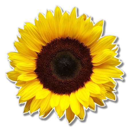 AK Wall Art Adhesivo de vinilo para casco de coche, diseño de girasol, tamaño seleccionado