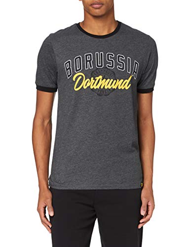 Borussia Dortmund BVB-Basic-t-Shirt - Camiseta para Hombre, Hombre, Camiseta, 20210600/3XL, Gris (Dull Grey), XXX-Large