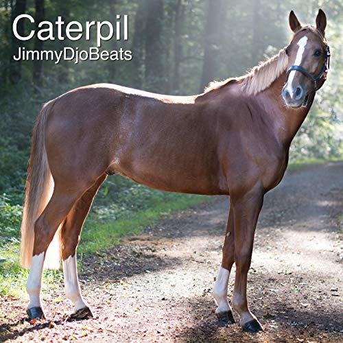 Caterpil (Radio Edit)