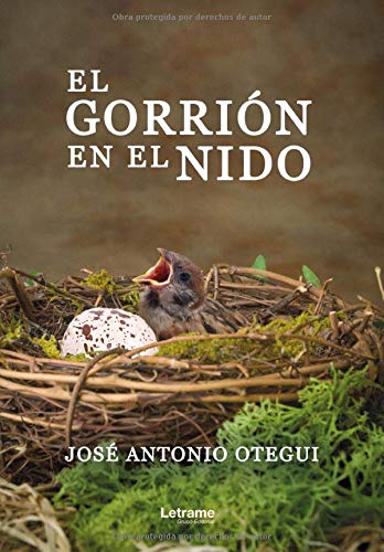 El gorrión en el nido: 1 (Novela)