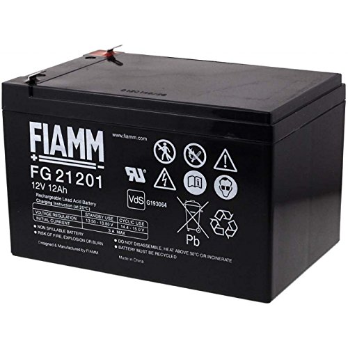 FIAMM repuesto para embarcaciones de madera caravana Hobby Camping 12 V 12Ah, 12 V, plomo-ácido