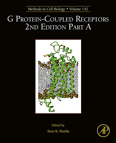 G Protein-Coupled Receptors Part A (ISSN Book 142) (English Edition)