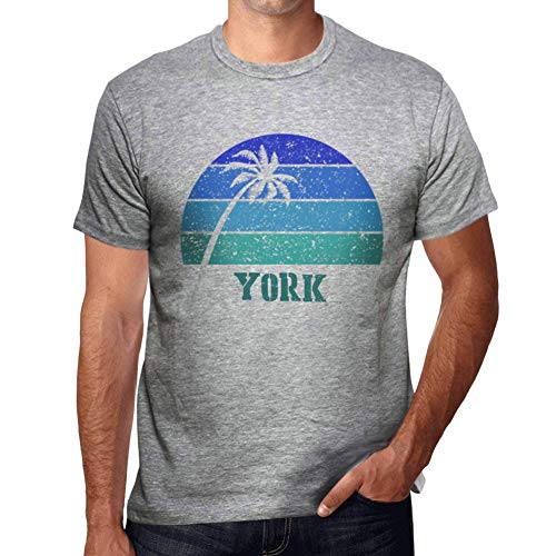 One in the City Hombre Camiseta Vintage T-Shirt Gráfico York Sunset Gris Moteado