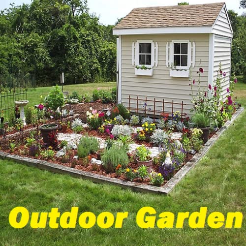 Outdoor Garden