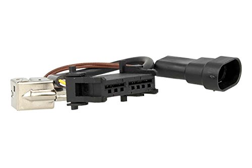 Cableado alimentación balastos xenón OEM Centralita XB3307 conector bombilla D1S