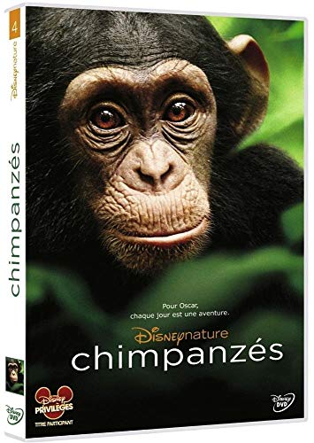 Chimpanzés [Francia] [DVD]