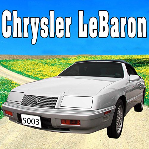 Chrysler Le Baron Door Opened Slowly