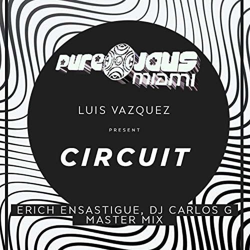 Circuit (Erich Ensastigue & DJ CARLOS G Remix)