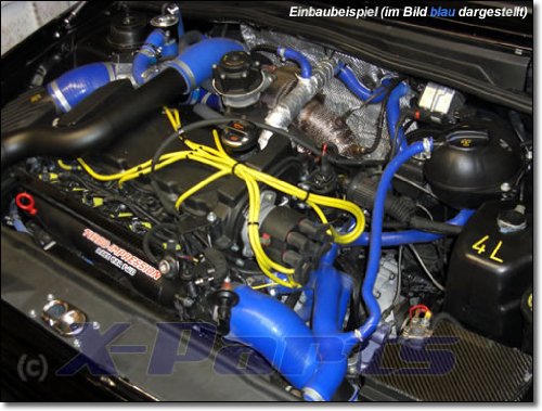 Corrado VR6 2.8L Set manguera Agua AAA Tubo de silicona kühlwasser circular unidad Azul