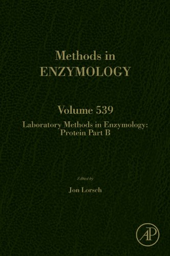 Laboratory Methods in Enzymology: Protein Part B (ISSN Book 539) (English Edition)